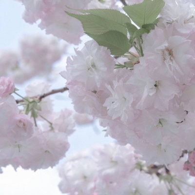 梅州福瑞交流群